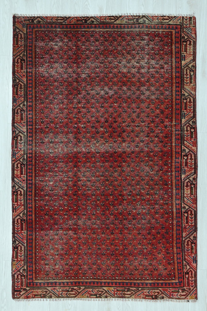 red Accent rug 3' 10" x 6' 2"