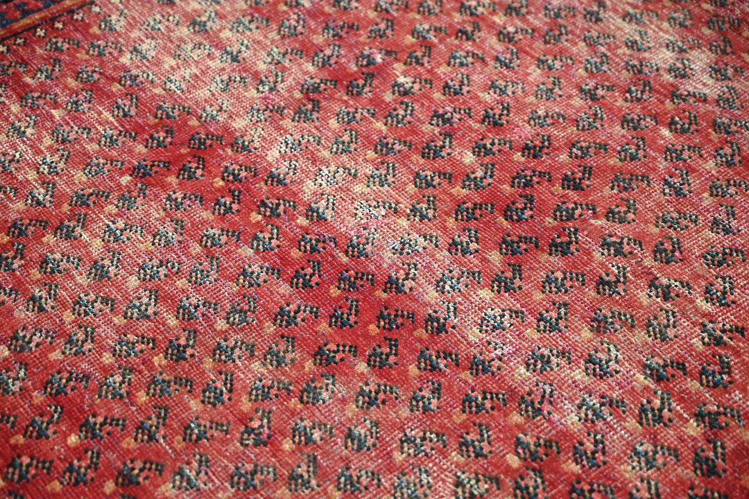 red Accent rug 3' 10" x 6' 2"