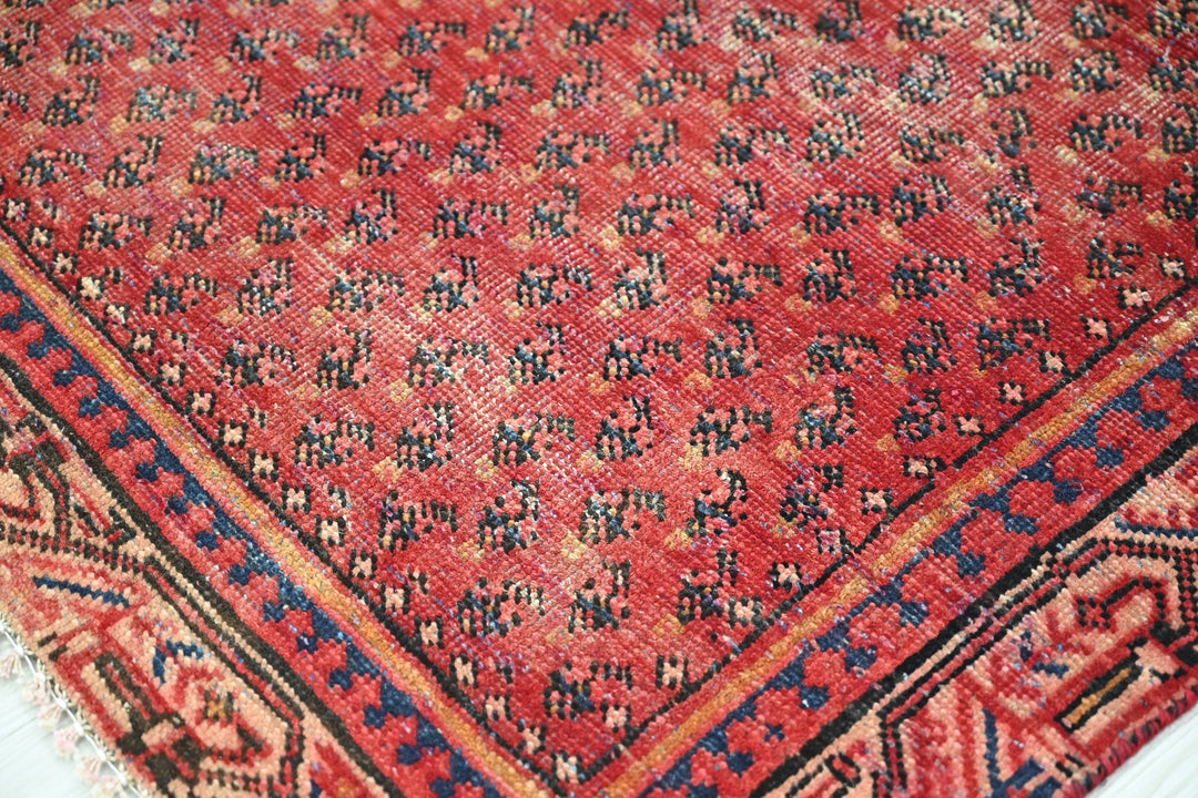 red Accent rug 3' 10" x 6' 2"