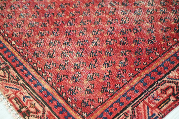 red Accent rug 3' 10" x 6' 2"