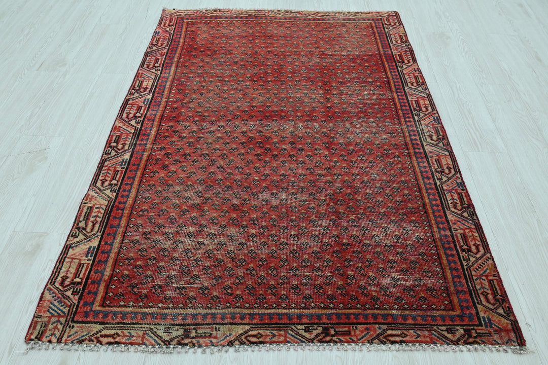 red Accent rug 3' 10" x 6' 2"