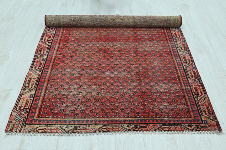 red Accent rug 3' 10" x 6' 2"