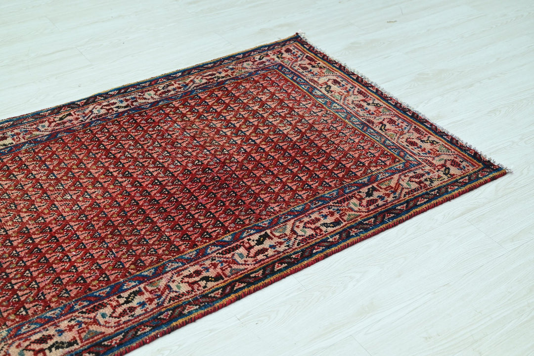 red Runner rug 3' 2" x 12' 5"
