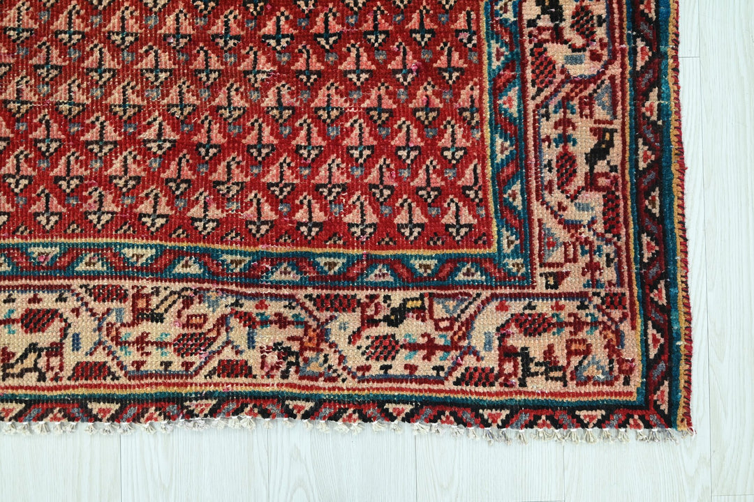 red Runner rug 3' 2" x 12' 5"
