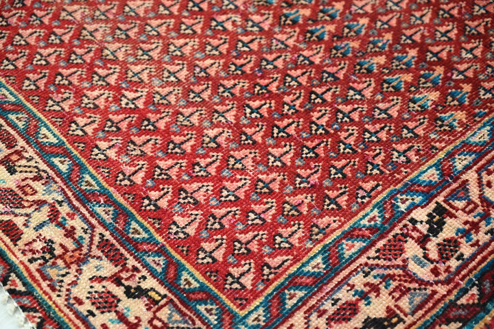 red Runner rug 3' 2" x 12' 5"