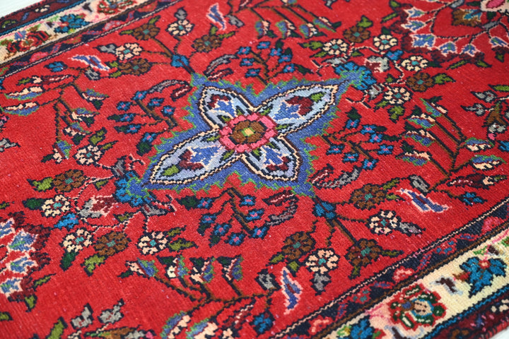 red Runner rug 2' 9" x 10' 0"