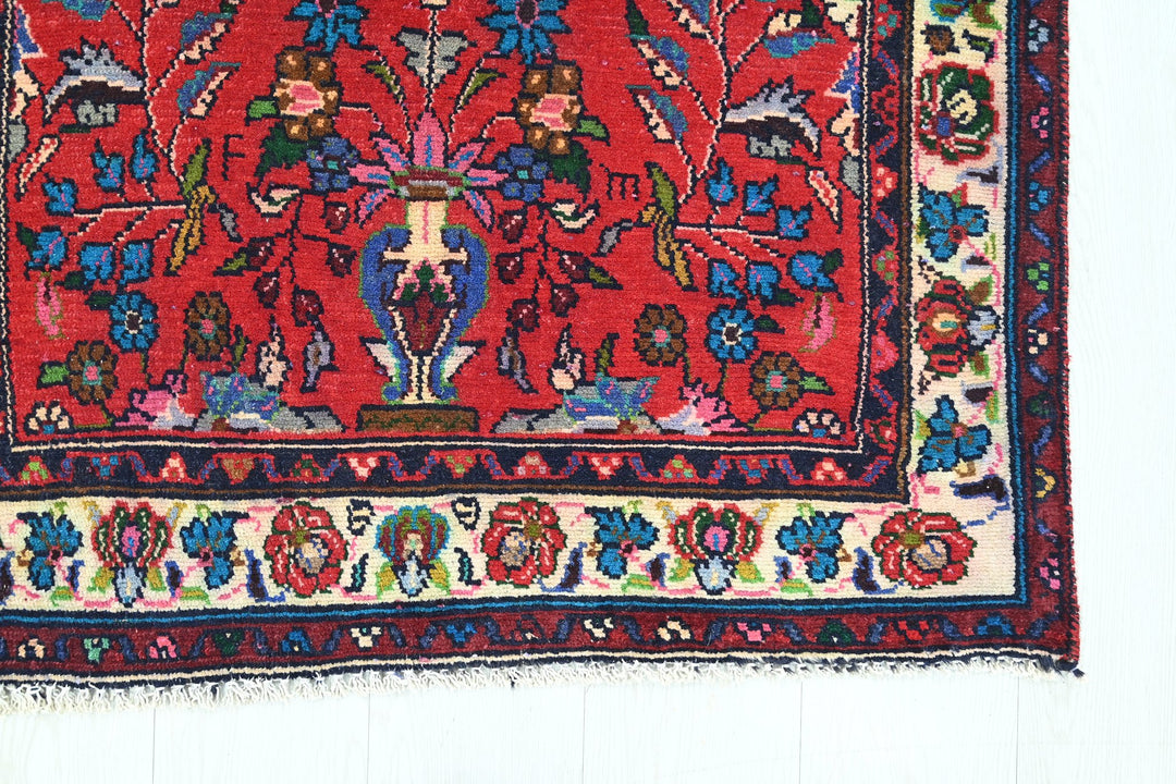red Runner rug 2' 9" x 10' 0"