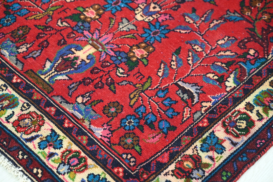 red Runner rug 2' 9" x 10' 0"