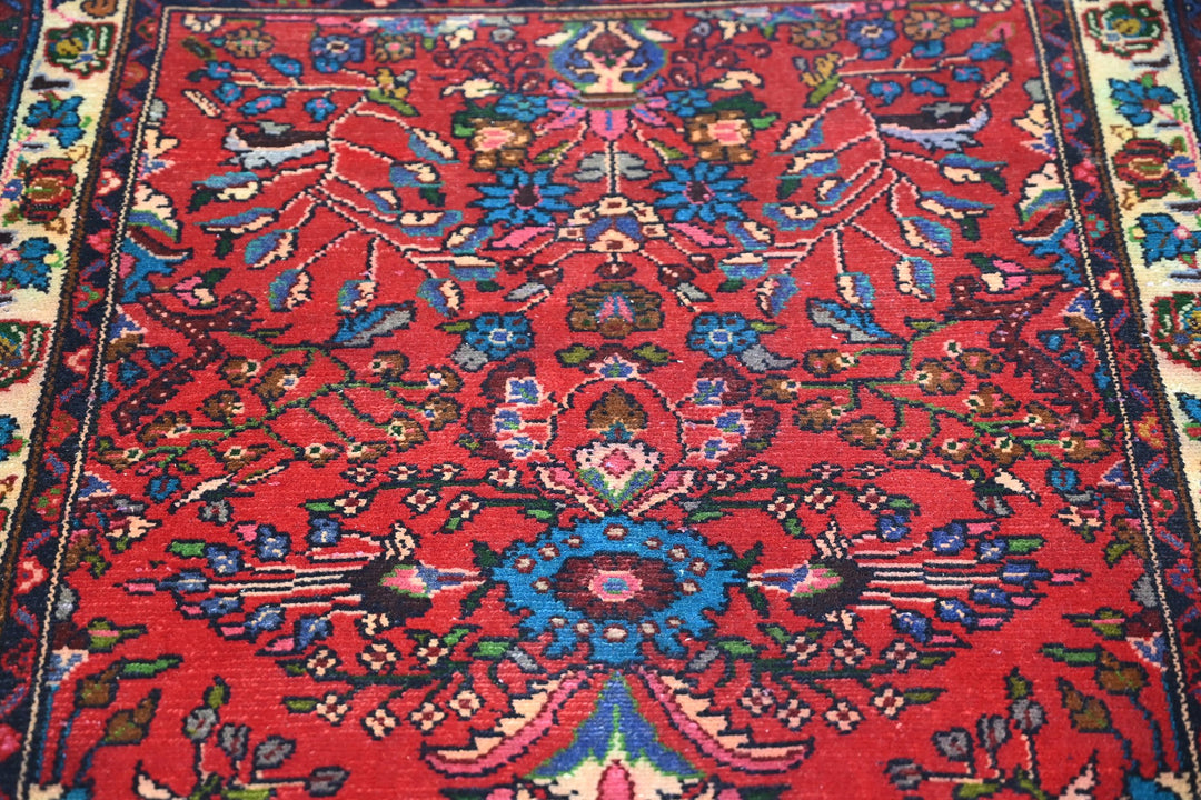 red Runner rug 2' 9" x 10' 0"