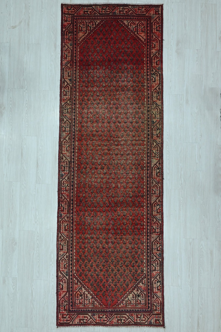 red Runner rug 3' 2" x 10' 1"