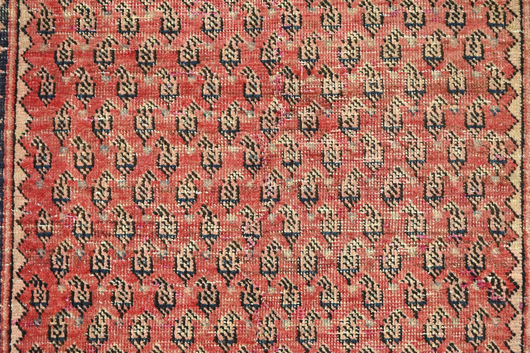 red Runner rug 3' 2" x 10' 1"