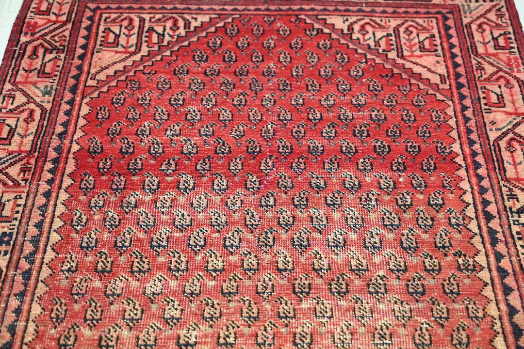 red Runner rug 3' 2" x 10' 1"