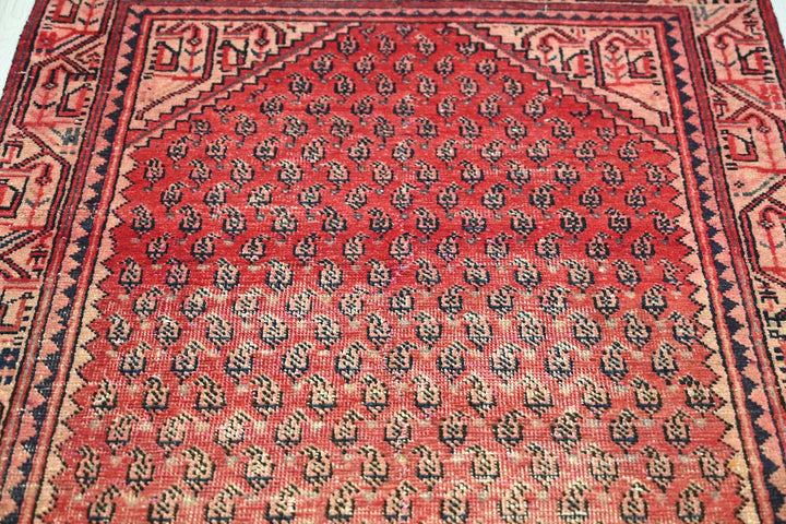 red Runner rug 3' 2" x 10' 1"