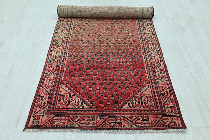 red Runner rug 3' 2" x 10' 1"