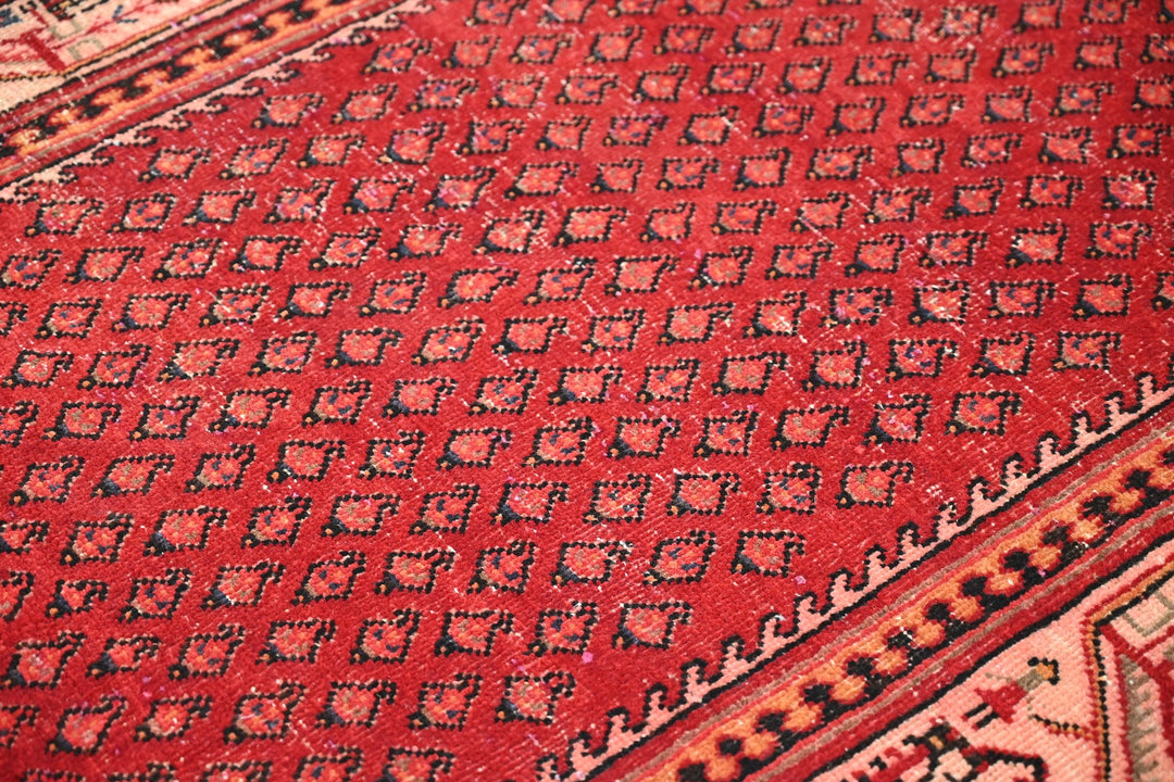 red Runner rug 3' 6" x 9' 9"
