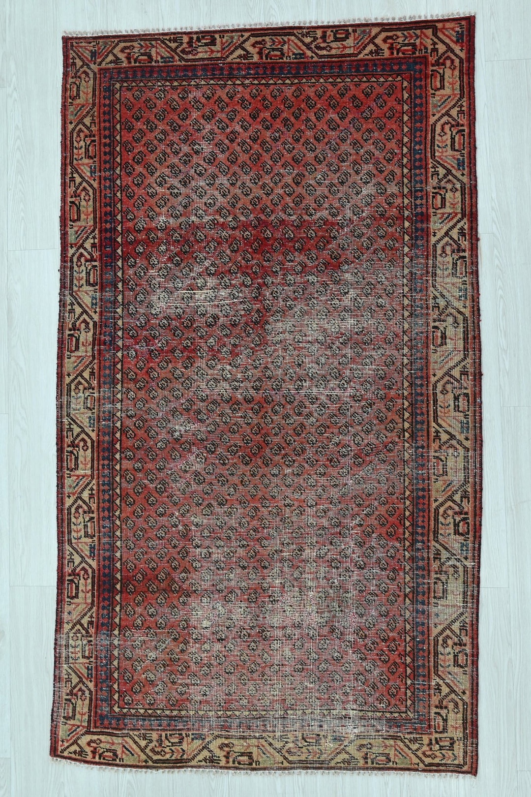 red Accent rug 3' 10" x 6' 5"