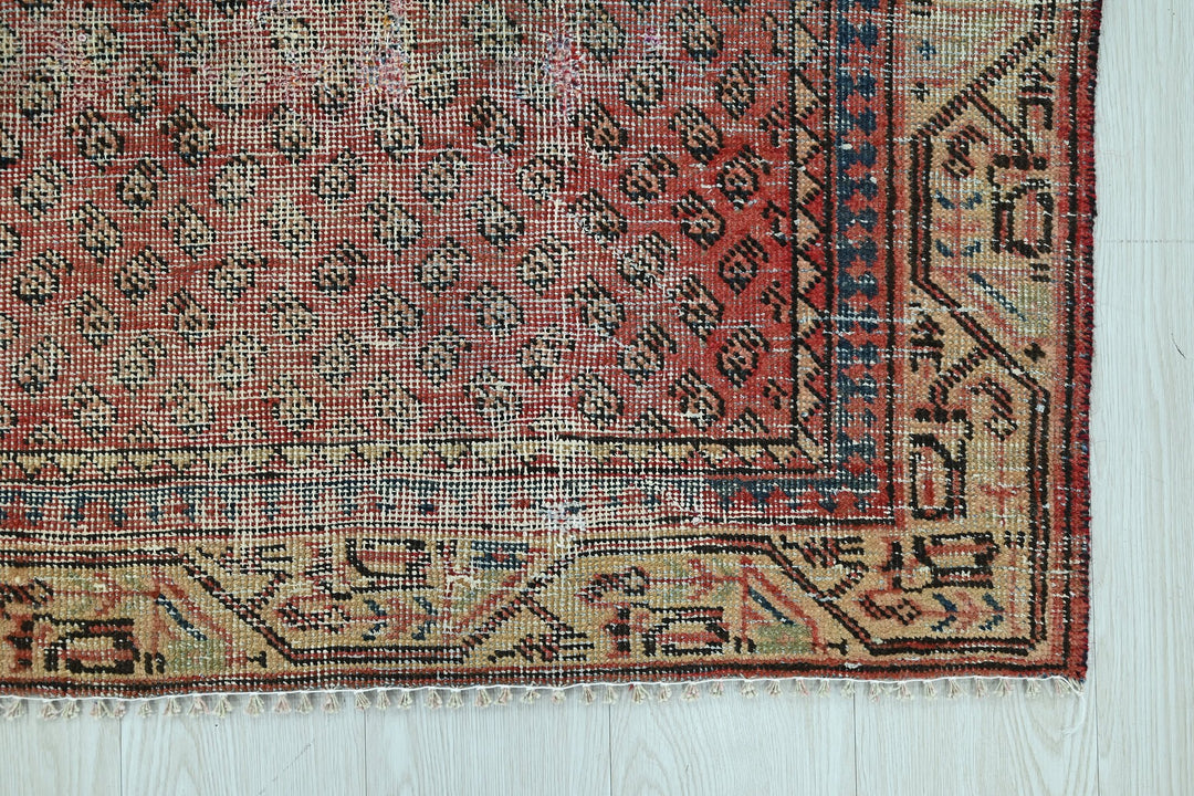 red Accent rug 3' 10" x 6' 5"