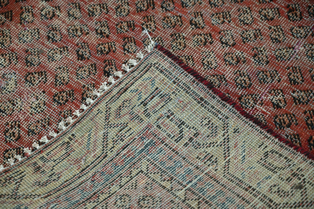 red Accent rug 3' 10" x 6' 5"