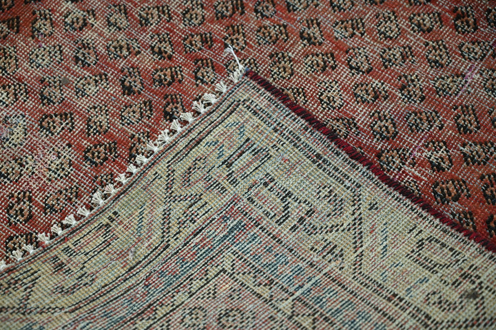 red Accent rug 3' 10" x 6' 5"