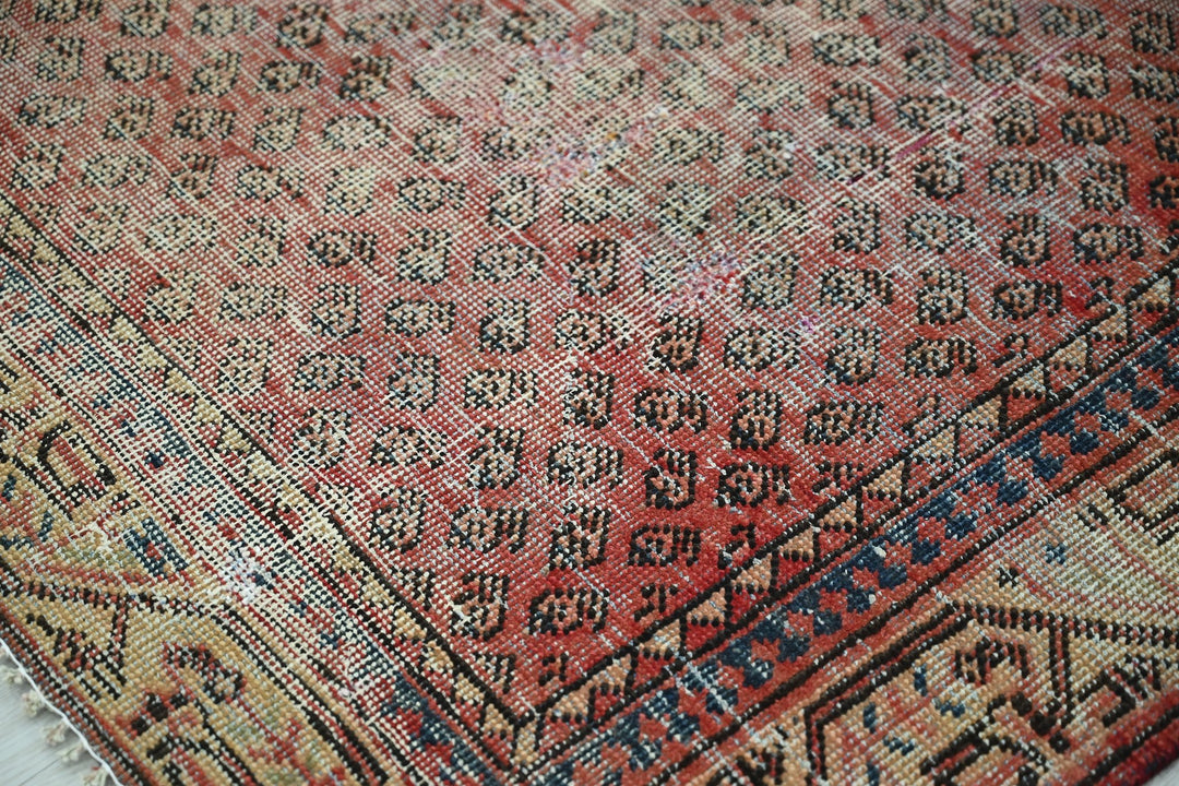red Accent rug 3' 10" x 6' 5"