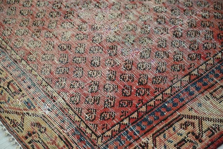red Accent rug 3' 10" x 6' 5"