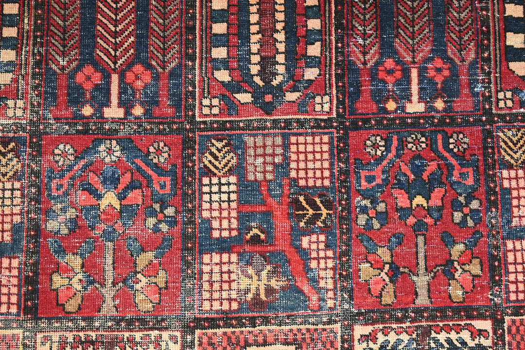 red Medium rug 5' 11" x 9' 5"