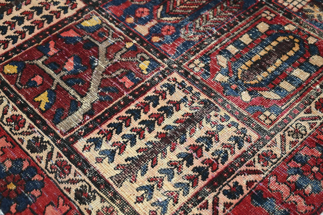 red Medium rug 5' 11" x 9' 5"