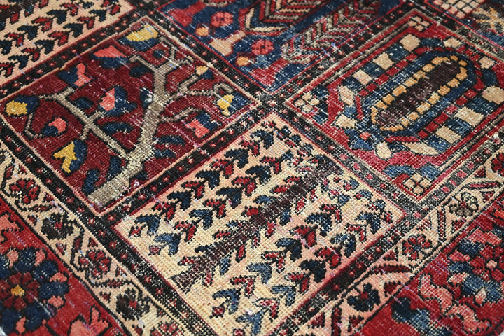 red Medium rug 5' 11" x 9' 5"