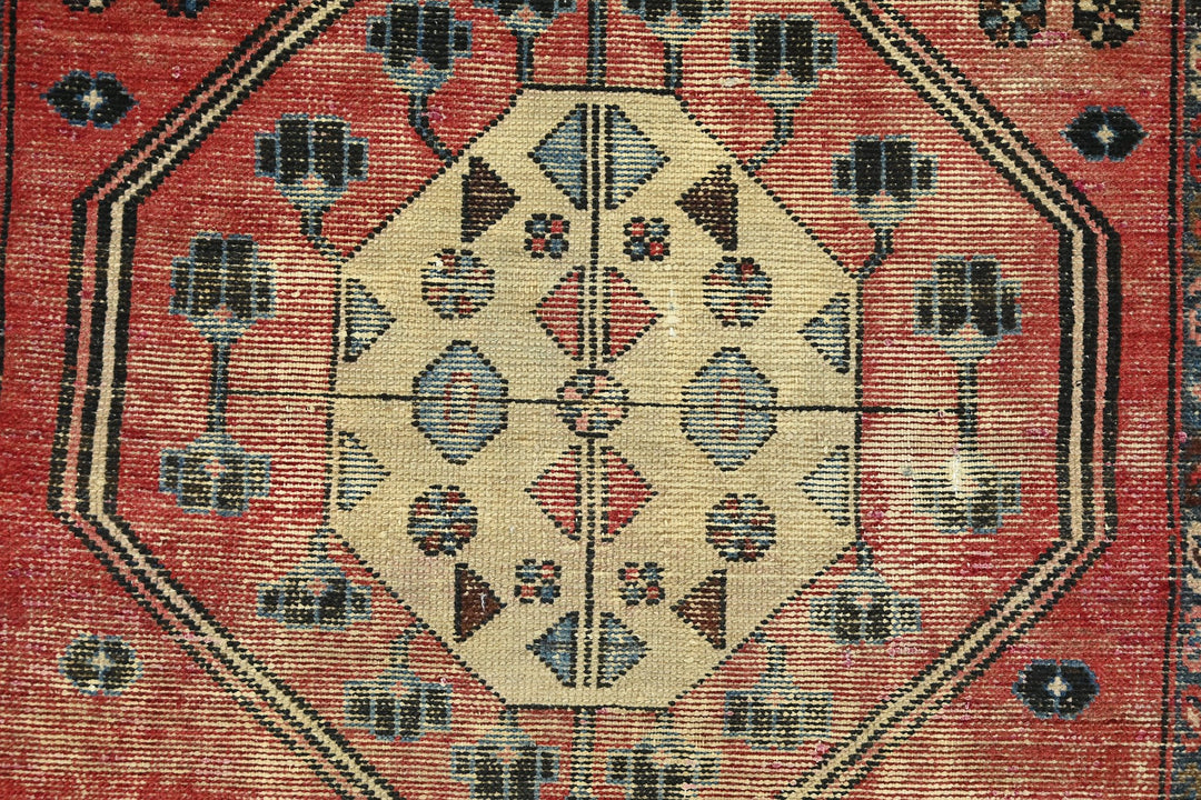 red Runner rug 3' 2" x 9' 8"