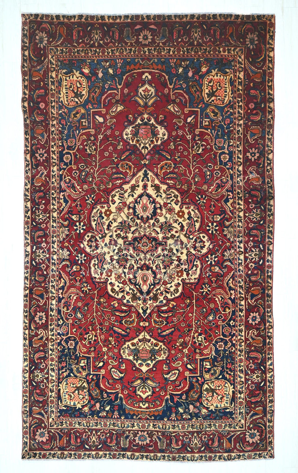 red Oversized rug 6' 8" x 11' 7"