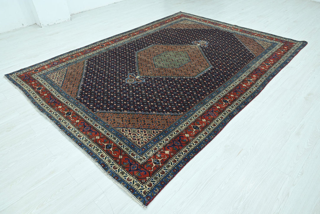 blue Large rug 6' 9" x 9' 3"