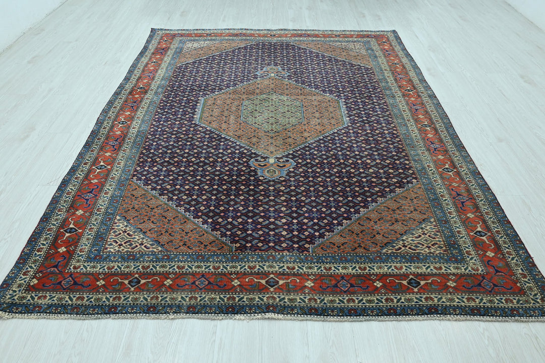 blue Large rug 6' 9" x 9' 3"