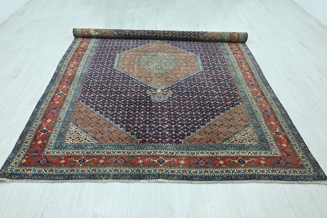 blue Large rug 6' 9" x 9' 3"