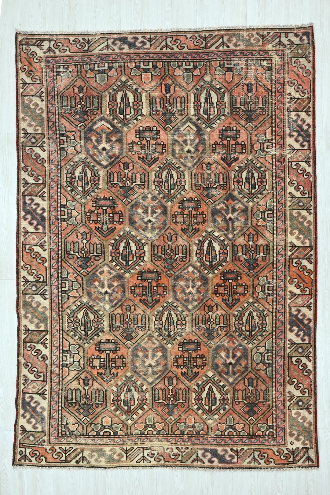 orange Medium rug 5' 10" x 9' 0"