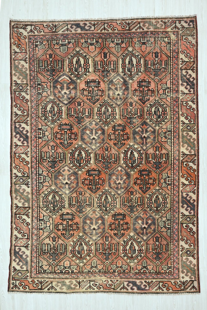 orange Medium rug 5' 10" x 9' 0"