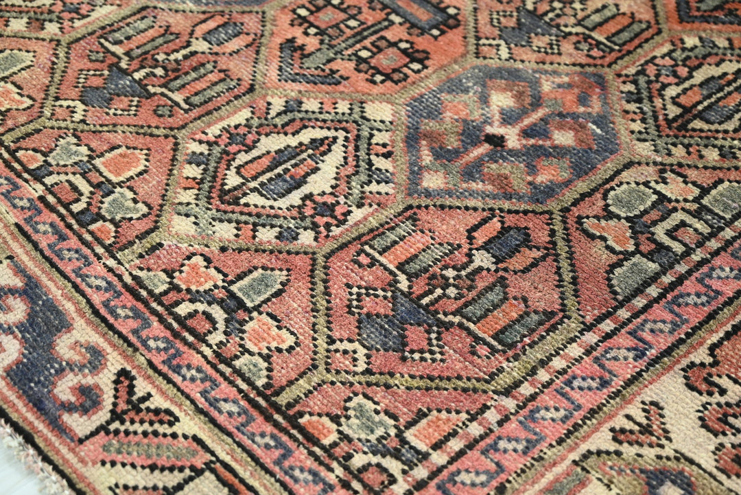 orange Medium rug 5' 10" x 9' 0"