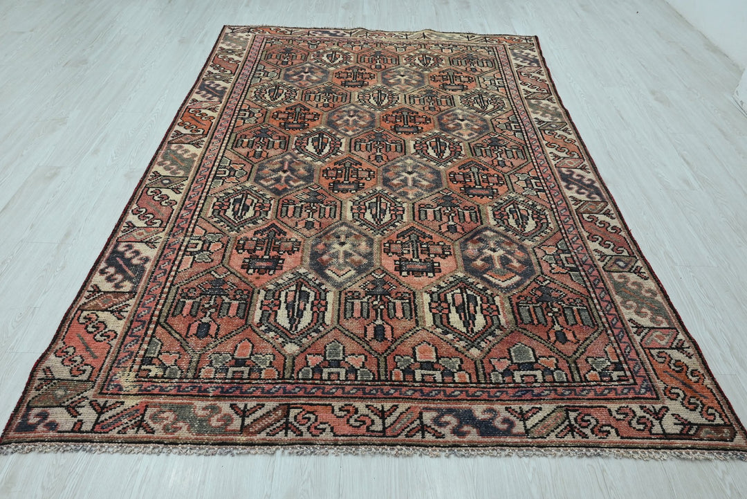 orange Medium rug 5' 10" x 9' 0"