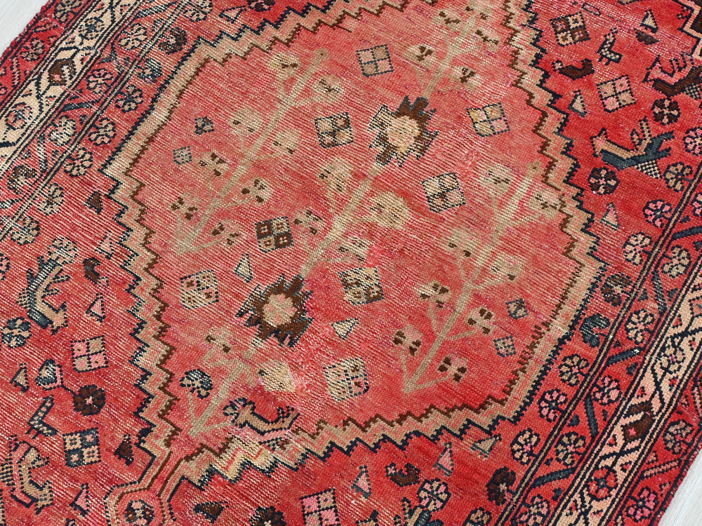 a red oriental rug with an intricate design