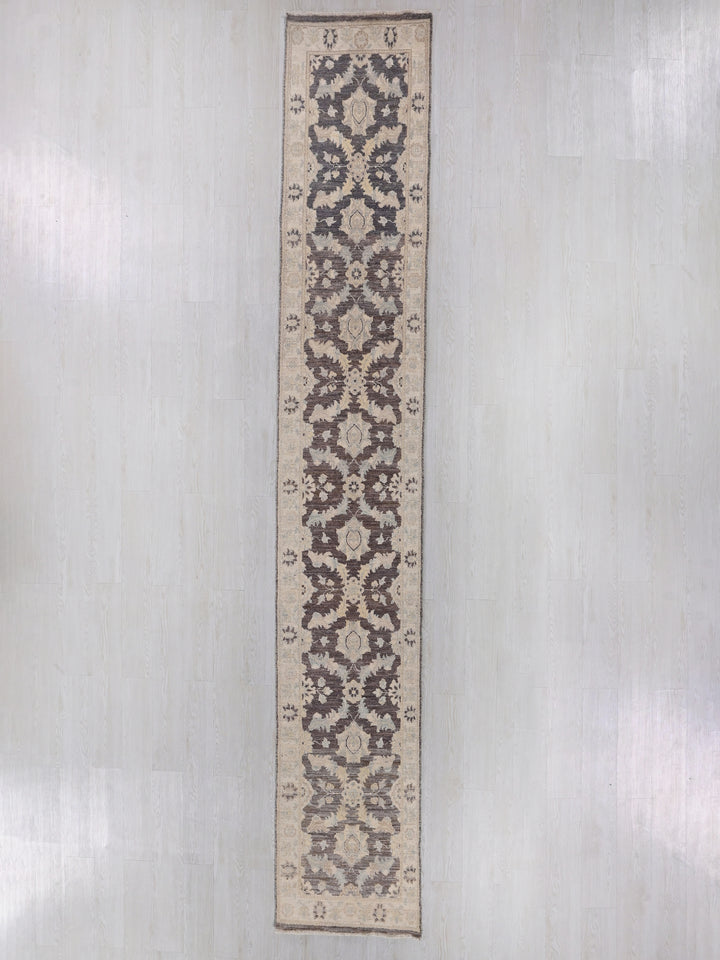 2' 3" x 14' 3"
