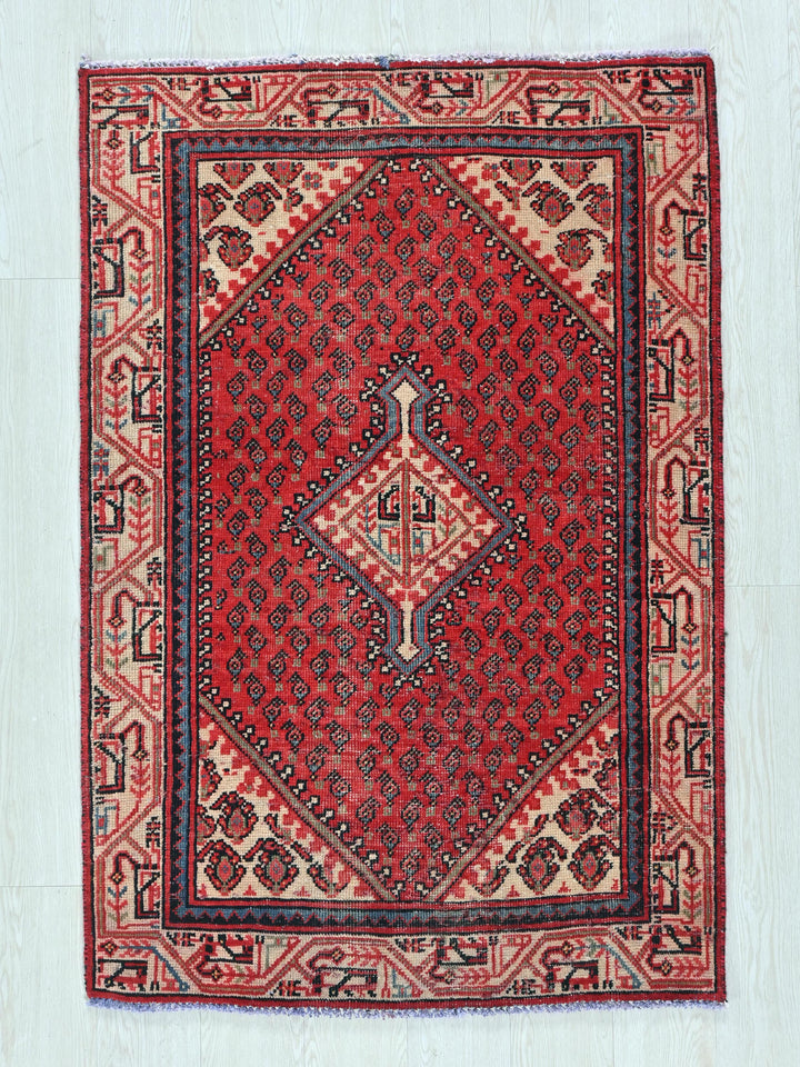 3' 1" x 4' 9"