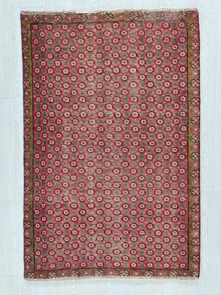 2' 11" x 4' 1"