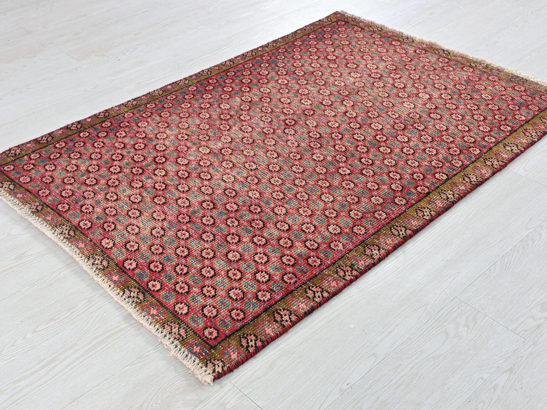 2' 11" x 4' 1"
