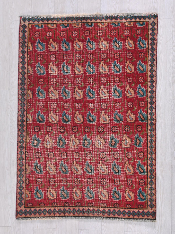 2' 11" x 4' 3"