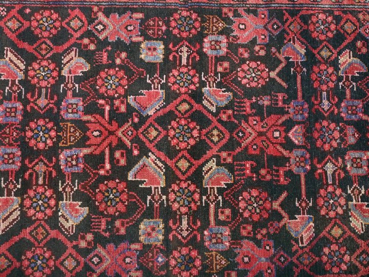 3' 4" x 12' 11"
