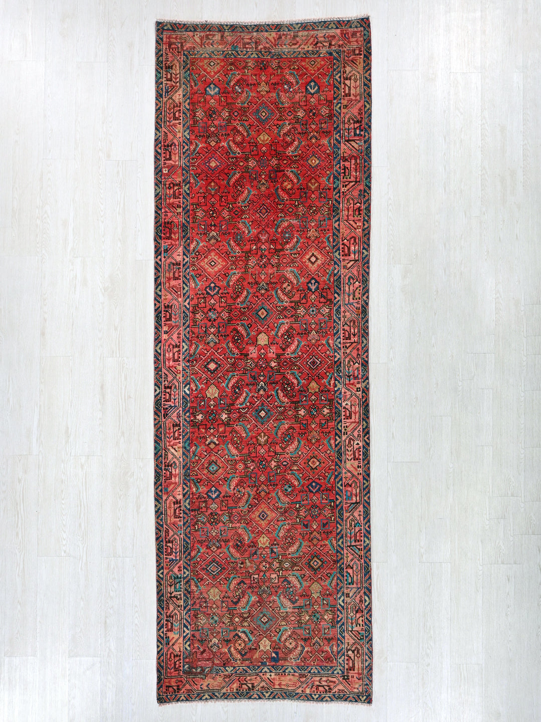 3' 4" x 10' 2"