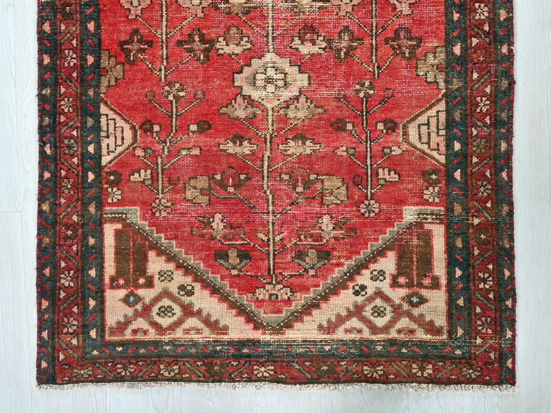 2' 12" x 8' 4"