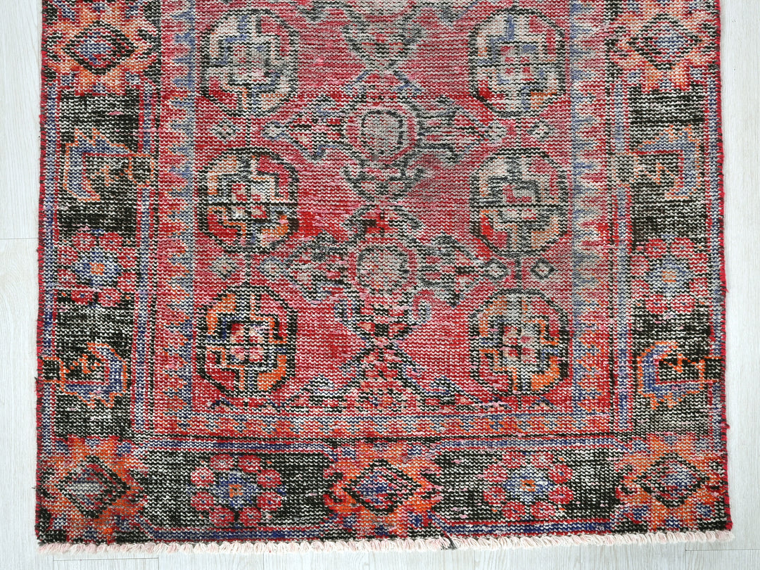 3' 1" x 10' 0"