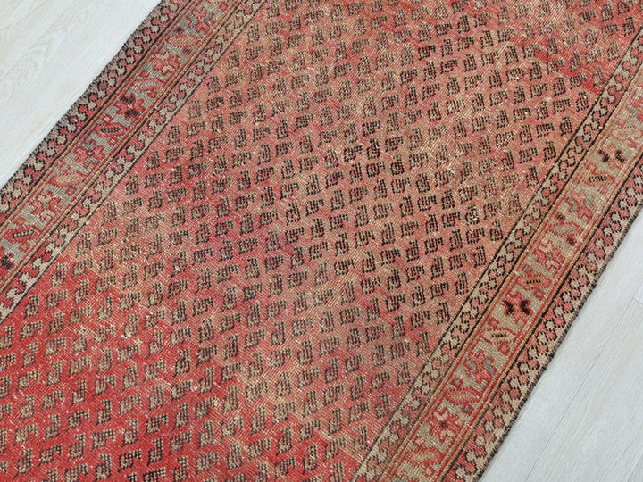 3' 3" x 9' 3"