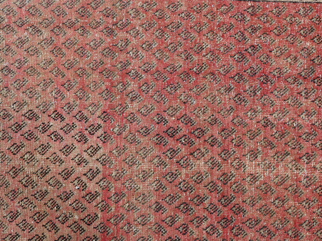 3' 3" x 9' 3"