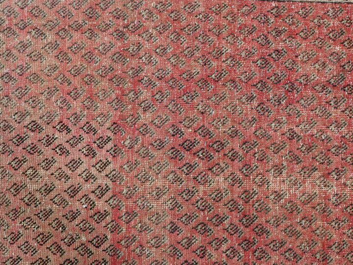 3' 3" x 9' 3"
